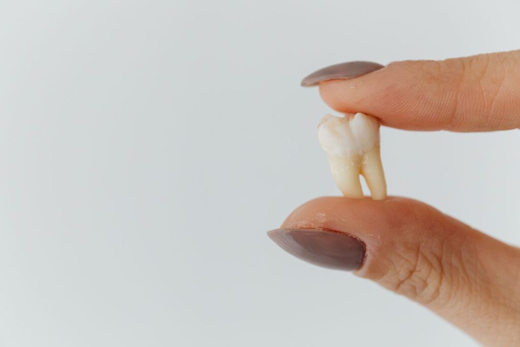 Fingers holding a knocked-out tooth before emergency dental care
