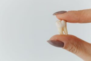 Fingers holding a knocked-out tooth before emergency dental care